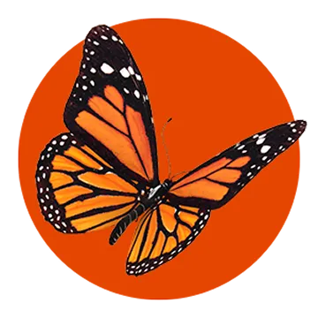 An orange and black monarch butterfly with white spots is shown in flight against a solid orange circular background.